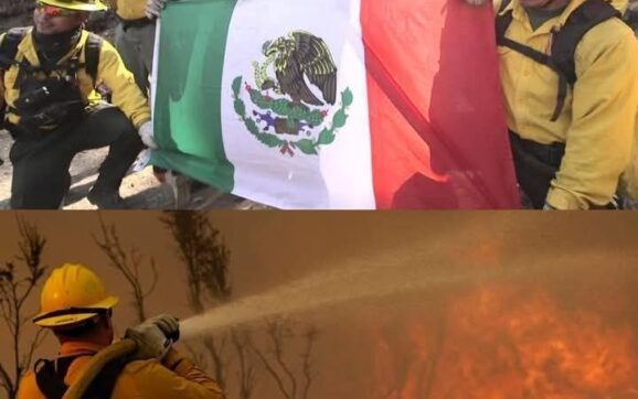 Bomberos mexicanos llegan a California a combatir incendios, a pesar de todo.