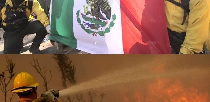 Bomberos mexicanos llegan a California a combatir incendios, a pesar de todo.