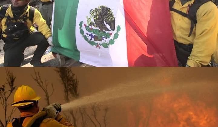 Bomberos mexicanos llegan a California a combatir incendios, a pesar de todo.